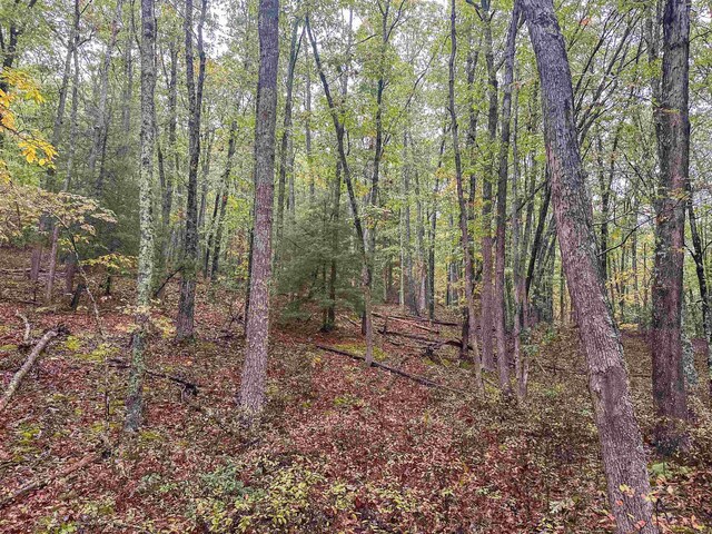 TBD Whippoorwill Ln, Monterey, VA 24465 - photo 37