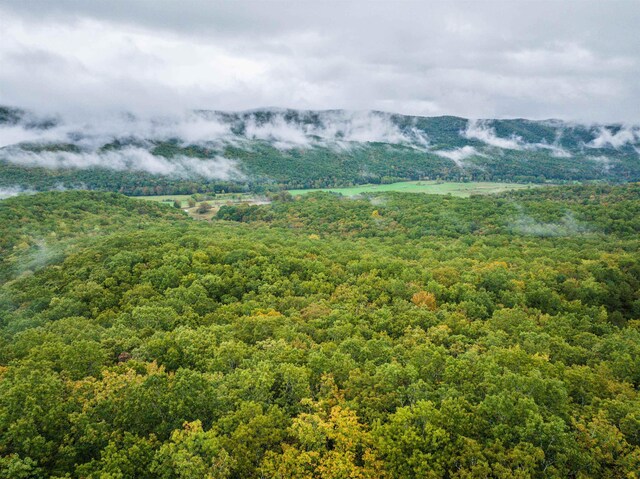 TBD Whippoorwill Ln, Monterey, VA 24465 - photo 22