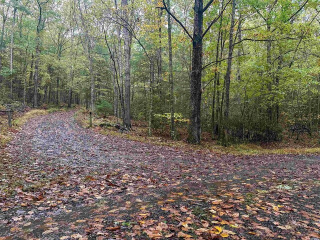 TBD Whippoorwill Ln, Monterey, VA 24465 - photo 35