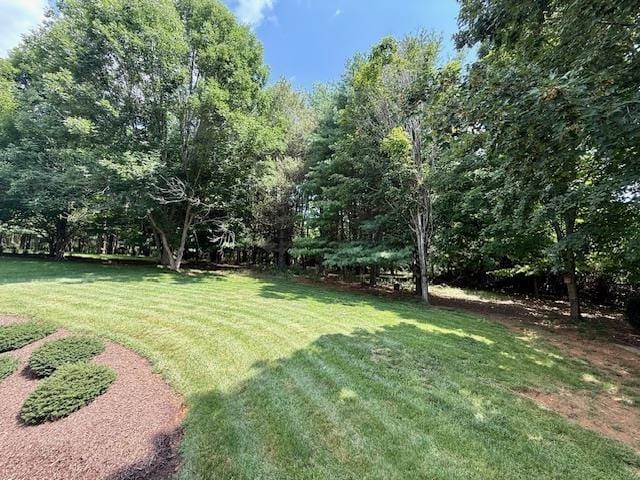 201 Oak Ridge Dr, Staunton, VA 24401 - photo 23