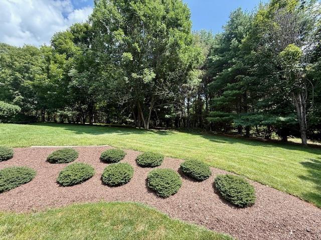 201 Oak Ridge Dr, Staunton, VA 24401 - photo 24