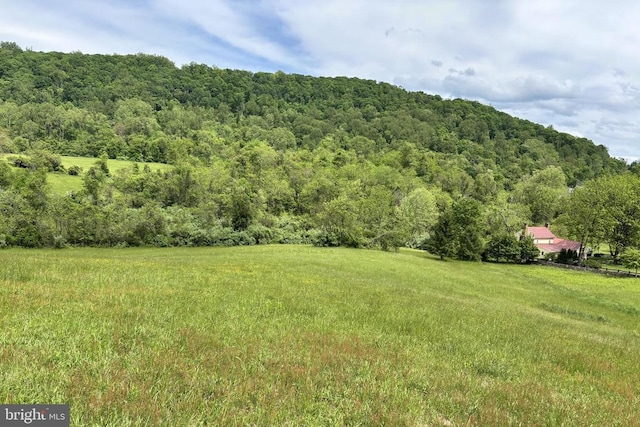  - view of mountain background with a forest