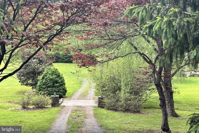  - view of home's community with dirt driveway and a yard