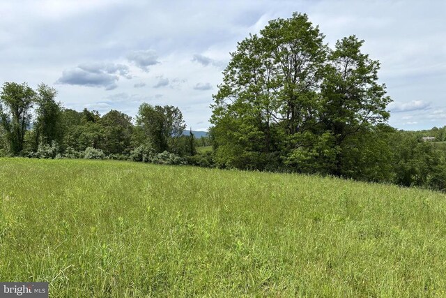  - view of local wilderness