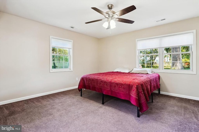 3200 Lafayette Blvd, Fredericksburg, VA 22408 - bedroom featuring carpet and ceiling fan