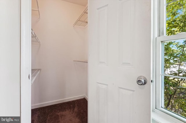 3200 Lafayette Blvd, Fredericksburg, VA 22408 - spacious closet with carpet