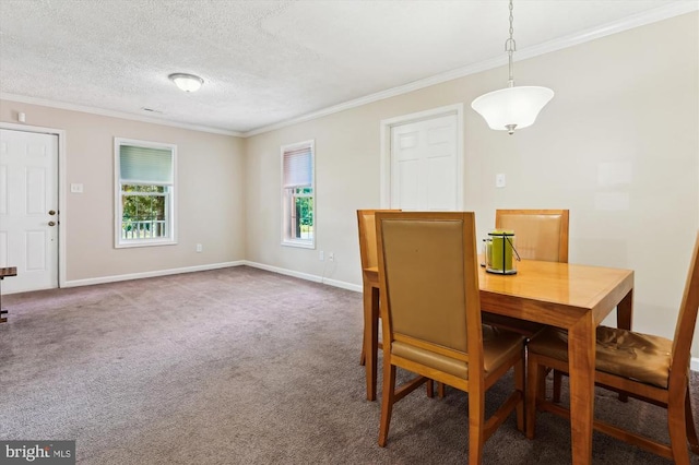 3200 Lafayette Blvd, Fredericksburg, VA 22408 - carpeted dining space featuring ornamental molding and a textured ceiling