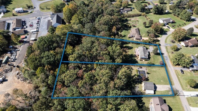 232 Edgewood Dr, Shenandoah, VA 22849 - bird's eye view