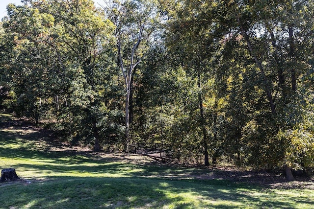 232 Edgewood Dr, Shenandoah, VA 22849 - view of yard featuring a view of trees