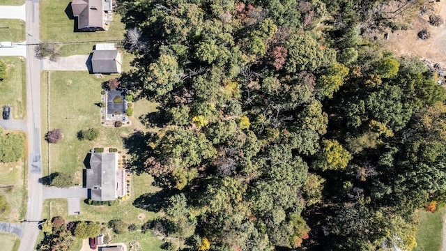 232 Edgewood Dr, Shenandoah, VA 22849 - aerial view