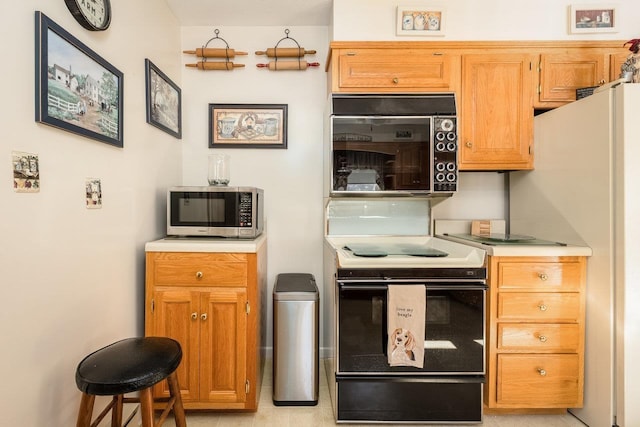 232 Edgewood Dr, Shenandoah, VA 22849 - kitchen with freestanding refrigerator, stainless steel microwave, black microwave, light countertops, and range with electric stovetop