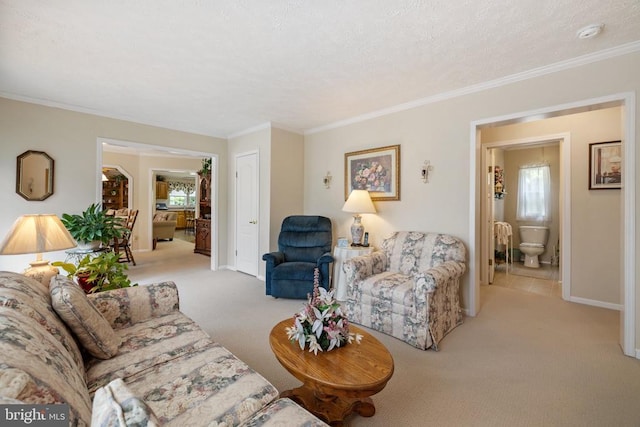 731 Bluewater Blvd S, Mineral, VA 23117 - living area with baseboards, light carpet, and crown molding