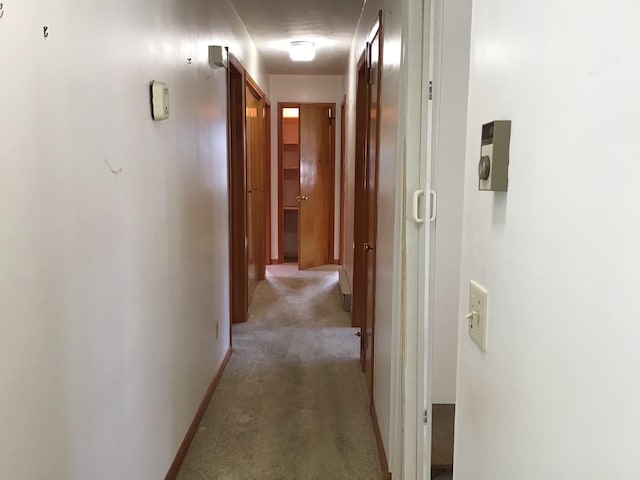 hall featuring light carpet and baseboards