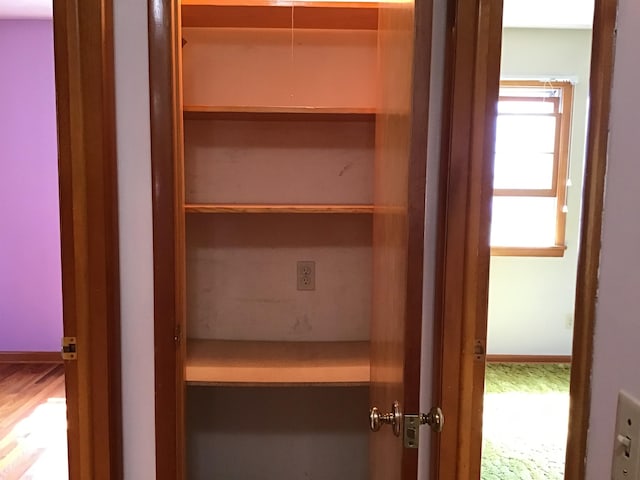 view of closet
