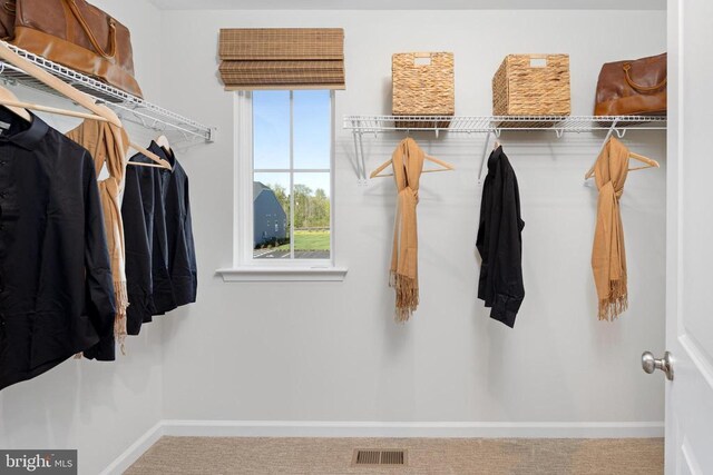 10100 N Streamview Ct, Fredericksburg, VA 22408 - spacious closet with carpet