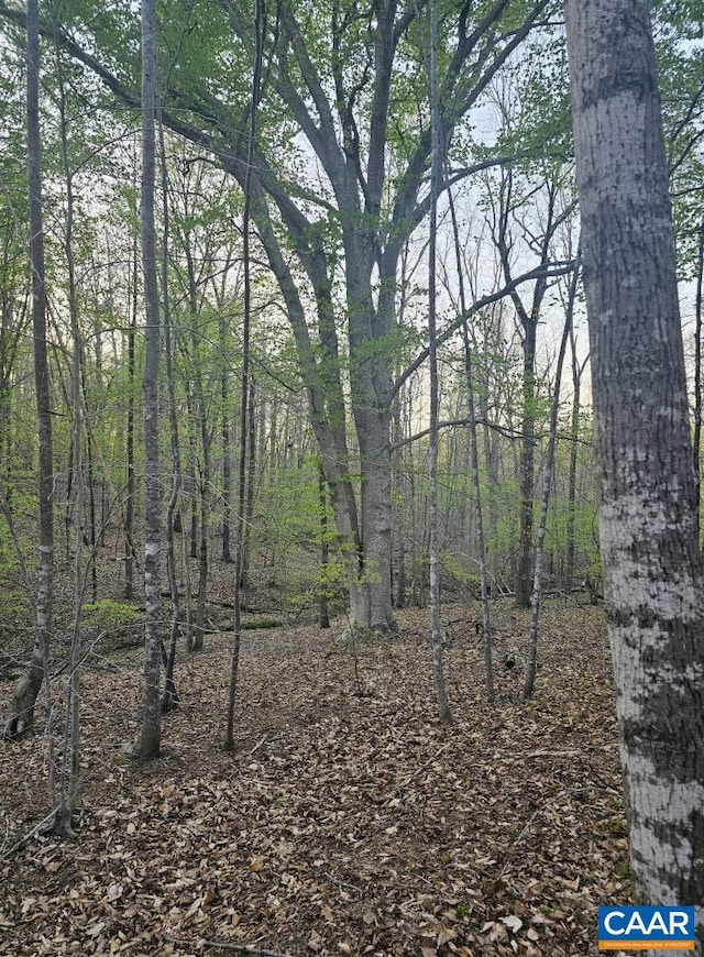 145 Dogwood Lake Dr, Gordonsville, VA 22942 - view of wooded area
