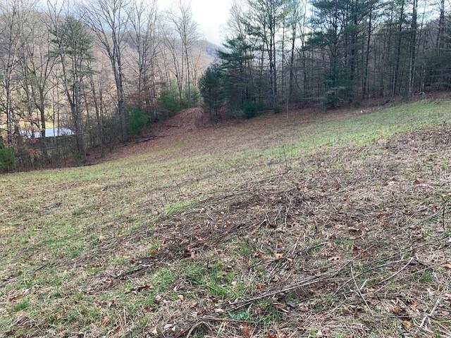 TBD Lower Back Creek Rd, Monterey, VA 24465 - photo 7