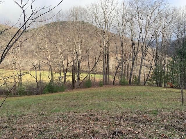 TBD Lower Back Creek Rd, Monterey, VA 24465 - photo 1