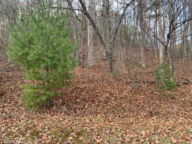 TBD Lower Back Creek Rd, Monterey, VA 24465 - photo 4