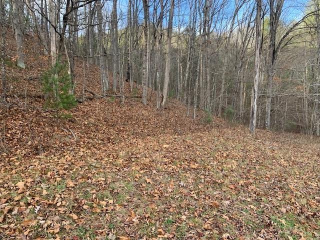 TBD Lower Back Creek Rd, Monterey, VA 24465 - photo 6