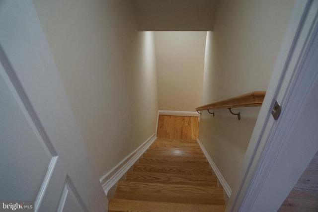 11218 Glen Park Dr, Fredericksburg, VA 22407 - stairway featuring wood finished floors and baseboards