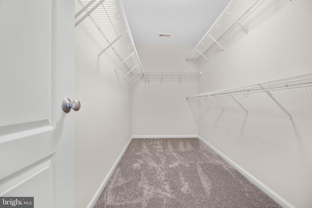 11218 Glen Park Dr, Fredericksburg, VA 22407 - walk in closet featuring carpet