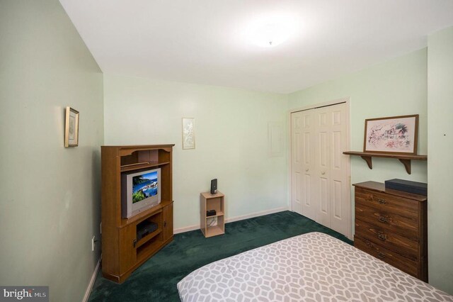11803 Oakdale Ct, Locust Grove, VA 22508 - bedroom featuring dark colored carpet and a closet