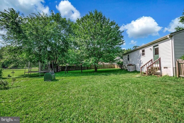 11803 Oakdale Ct, Locust Grove, VA 22508 - view of yard with entry steps