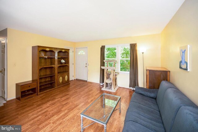 11803 Oakdale Ct, Locust Grove, VA 22508 - living area with light wood-type flooring and baseboards