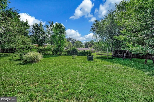 11803 Oakdale Ct, Locust Grove, VA 22508 - view of yard