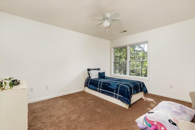 139 Maple Ave, Mount Jackson, VA 22842 - photo 20