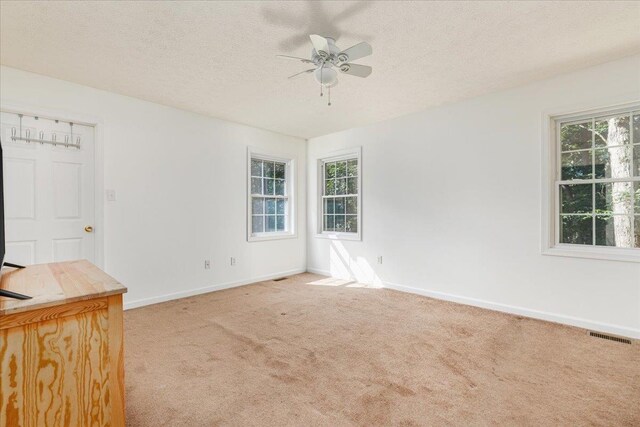 139 Maple Ave, Mount Jackson, VA 22842 - photo 14