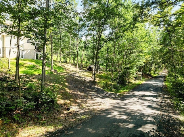 139 Maple Ave, Mount Jackson, VA 22842 - photo 49