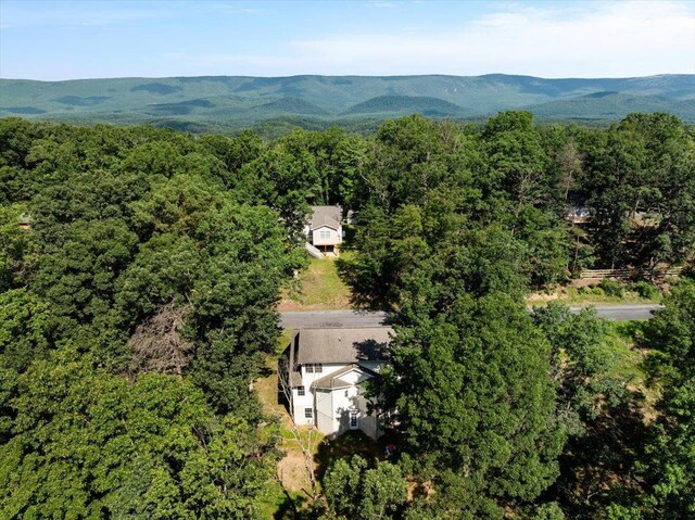 139 Maple Ave, Mount Jackson, VA 22842 - photo 44