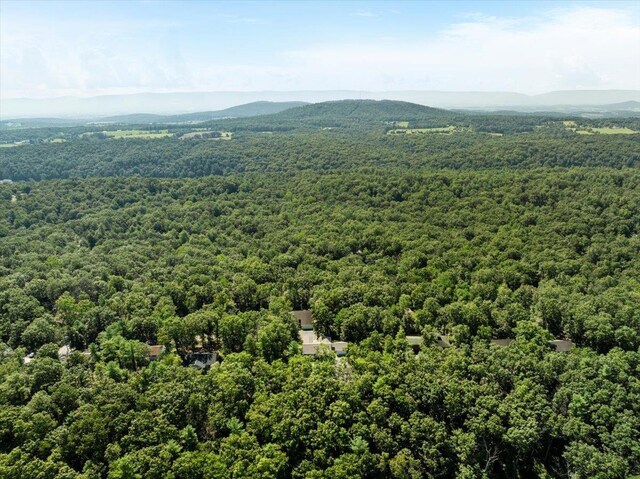 139 Maple Ave, Mount Jackson, VA 22842 - photo 41