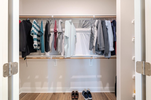 237 Ridgeline Dr, Waynesboro, VA 22980 - view of closet