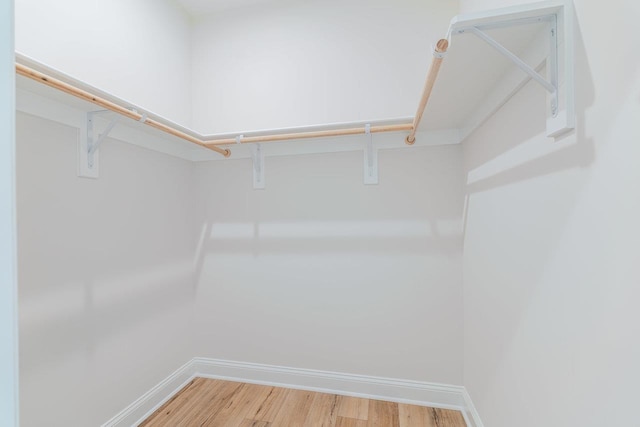 237 Ridgeline Dr, Waynesboro, VA 22980 - spacious closet with light wood-style flooring