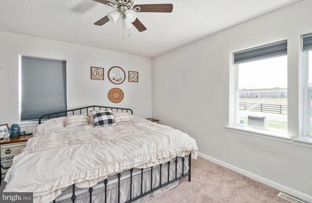 3321 Summit Crossing Rd, Fredericksburg, VA 22408 - carpeted bedroom featuring a textured ceiling, a closet, and ceiling fan