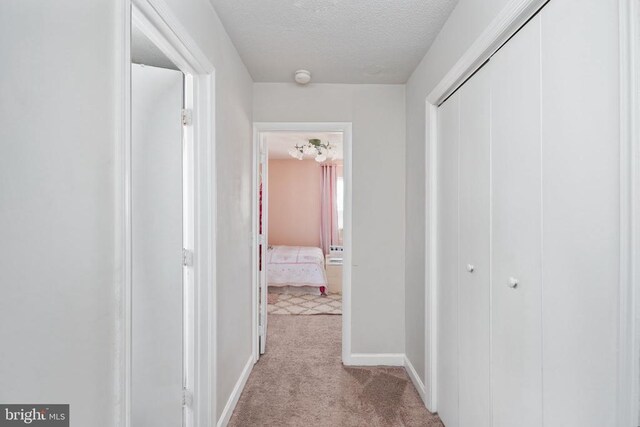 3321 Summit Crossing Rd, Fredericksburg, VA 22408 - hallway with carpet floors and a textured ceiling