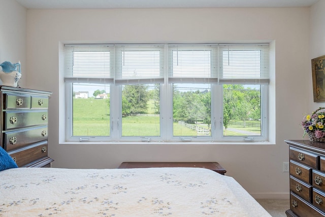 18 Rose Garden Ln Unit 104, Fishersville, VA 22939 - photo 17