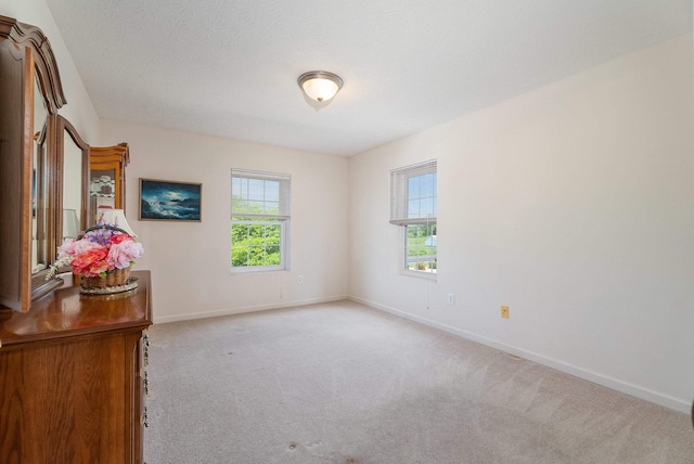 18 Rose Garden Ln Unit 104, Fishersville, VA 22939 - photo 12
