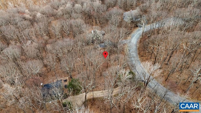 95 Hanging Rock Ln, Wintergreen Resort, VA 22967