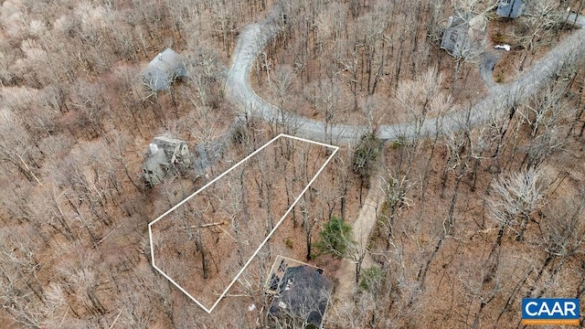 95 Hanging Rock Ln, Wintergreen Resort, VA 22967
