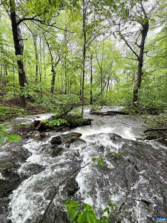 95 Hanging Rock Ln, Wintergreen Resort, VA 22967