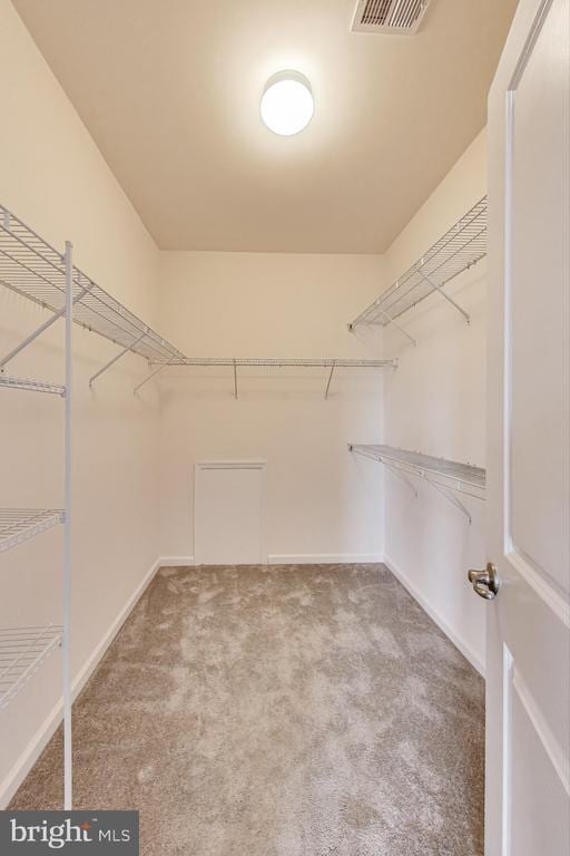  - walk in closet featuring carpet flooring