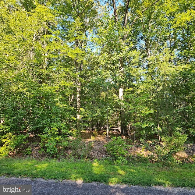 6200 Bills Rd, Mineral, VA 23117