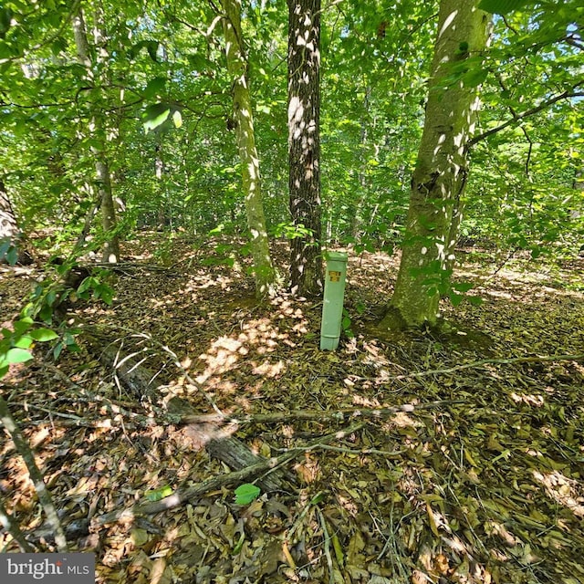 6200 Bills Rd, Mineral, VA 23117