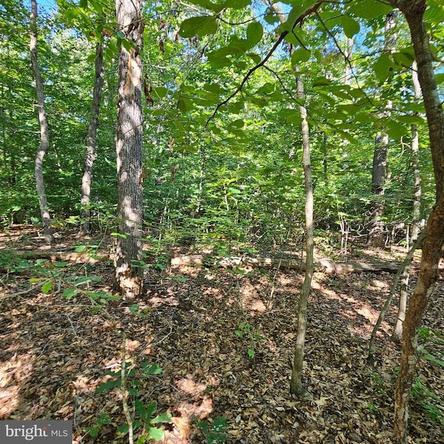 6200 Bills Rd, Mineral, VA 23117