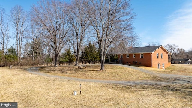 view of yard featuring driveway