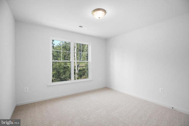Spotswood Dr, Locust Grove, VA 22508 - photo 33